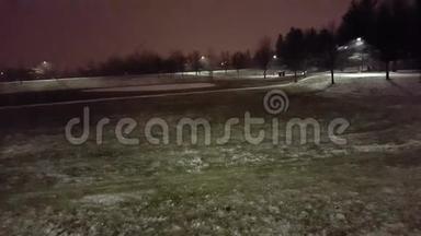 公园里的<strong>雪夜</strong>。 美丽的夜晚雪景。
